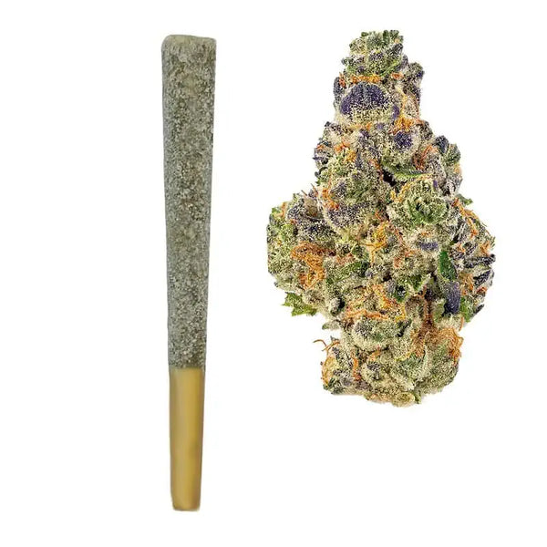 Gumbo THCA Iced Prerolls