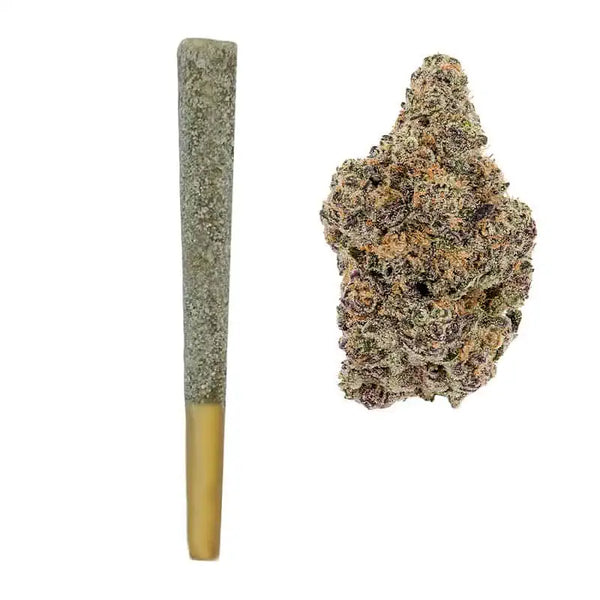 Gush Mintz THCA Iced Prerolls