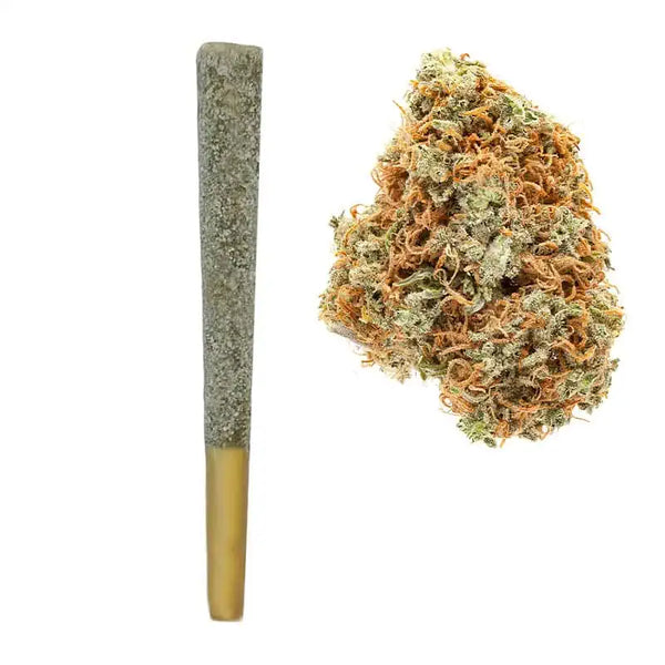 Orange Cookies THCA Iced Prerolls