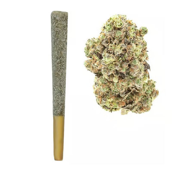 Tropical Thunder THCA Iced Prerolls